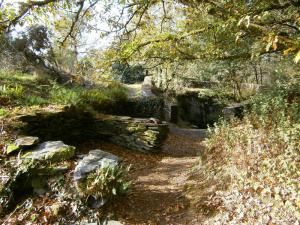 Le bois de Caurel